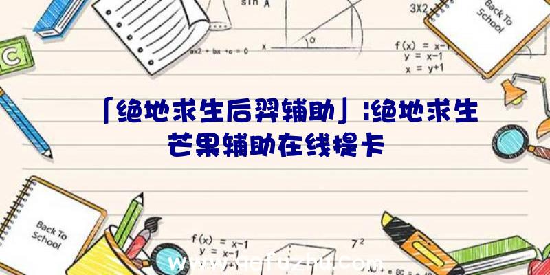 「绝地求生后羿辅助」|绝地求生芒果辅助在线提卡